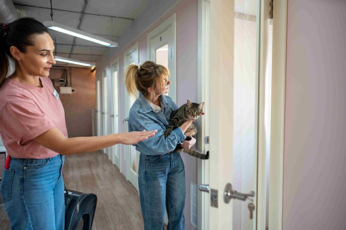 Hygiene Standards in a Professional cats boarding hotel Dubai